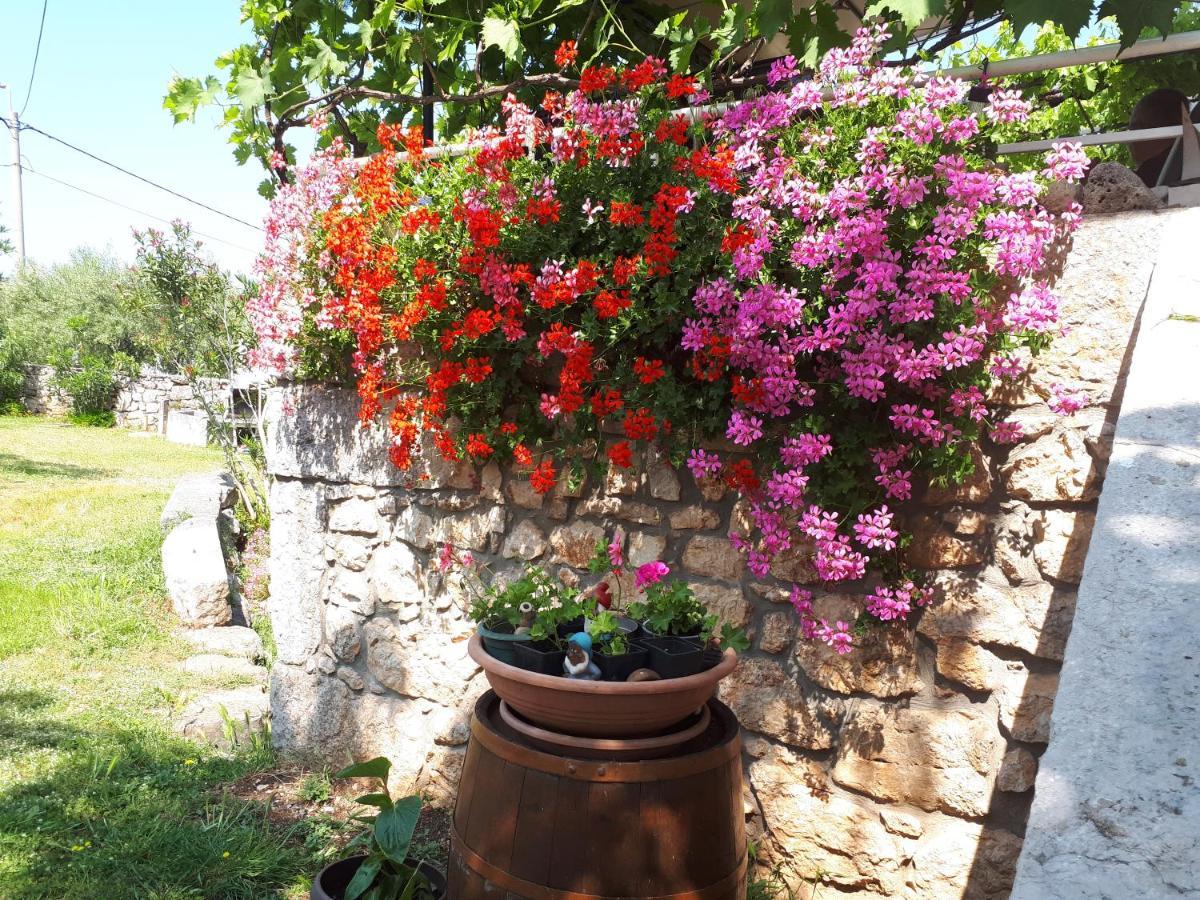 Apartments Sabina I Grapes Malinska Dış mekan fotoğraf